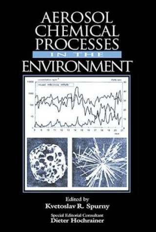 Könyv Aerosol Chemical Processes in the Environment 