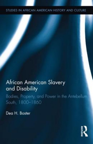 Książka African American Slavery and Disability Dea Hadley Boster