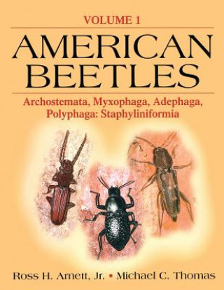Könyv American Beetles, Volume I 