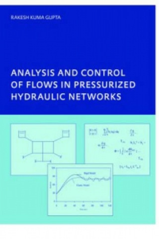 Książka Analysis and Control of Flows in Pressurized Hydraulic Networks Rakesh Kumar Gupta