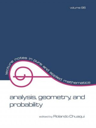 Knjiga Analysis R. Chuaqui