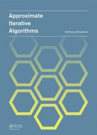 Knjiga Approximate Iterative Algorithms Edilson Fernandes de Arruda