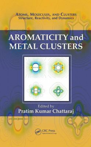 Carte Aromaticity and Metal Clusters 