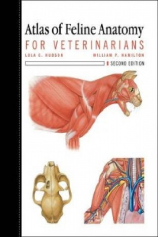 Kniha Atlas of Feline Anatomy William Hamilton