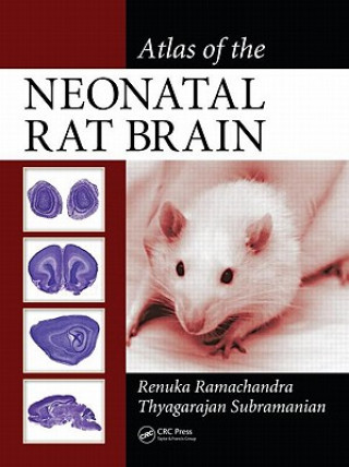 Книга Atlas of the Neonatal Rat Brain Thyagarajan Subramanian