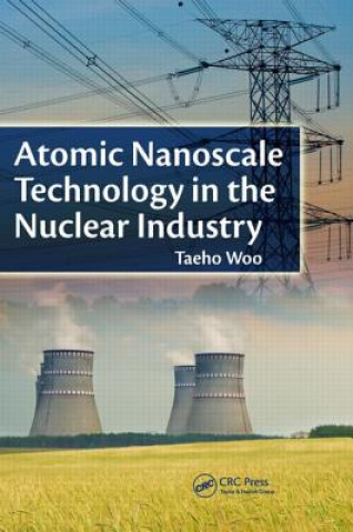 Kniha Atomic Nanoscale Technology in the Nuclear Industry Taeho Woo