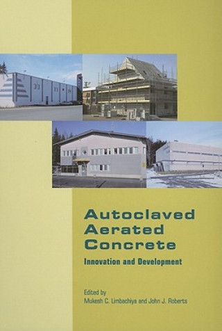 Carte Autoclaved Aerated Concrete - Innovation and Development 