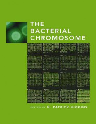 Książka Bacterial Chromosome N. Patrick Higgins