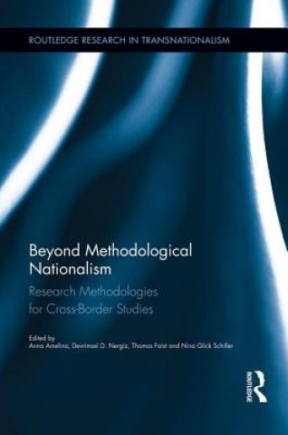 Kniha Beyond Methodological Nationalism 