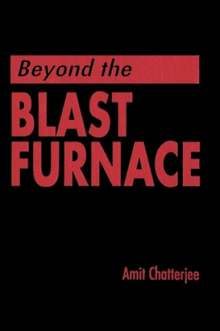 Carte Beyond the Blast Furnace Amit Chatterjee