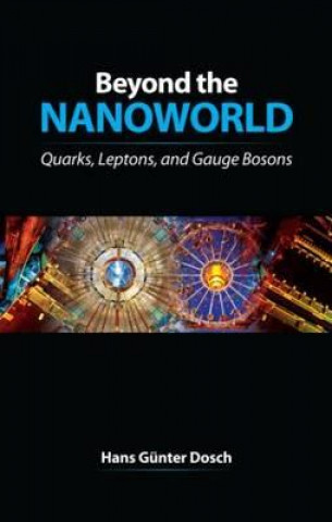 Carte Beyond the Nanoworld H. G Dosch