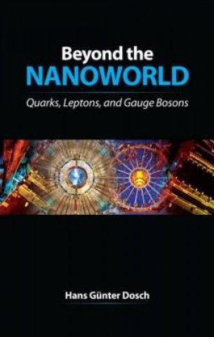 Książka Beyond the Nanoworld H. G Dosch