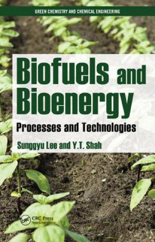 Kniha Biofuels and Bioenergy Yatish T. Shah