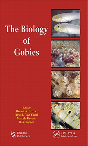 Książka Biology of Gobies 