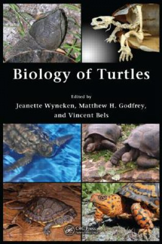 Książka Biology of Turtles 