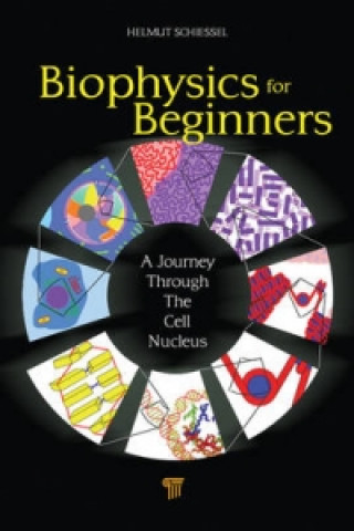 Könyv Biophysics for Beginners Helmut Schiessel