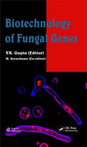 Kniha Biotechnology of Fungal Genes 