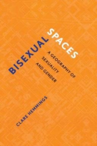 Buch Bisexual Spaces Clare Hemmings