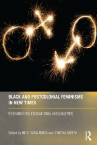 Könyv Black and Postcolonial Feminisms in New Times Heidi Safia Mirza