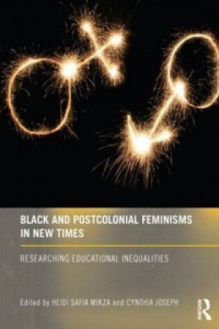 Könyv Black and Postcolonial Feminisms in New Times Heidi Safia Mirza