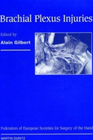 Kniha Brachial Plexus Injuries Alain Gilbert