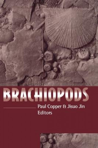 Könyv Brachiopods Paul Copper