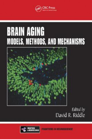 Könyv Brain Aging David R. Riddle