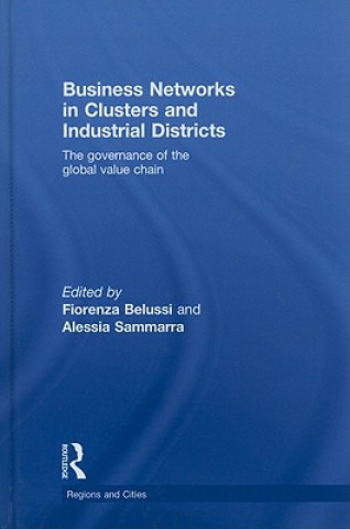 Knjiga Business Networks in Clusters and Industrial Districts Fiorenza Belussi