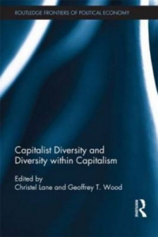 Könyv Capitalist Diversity and Diversity within Capitalism 