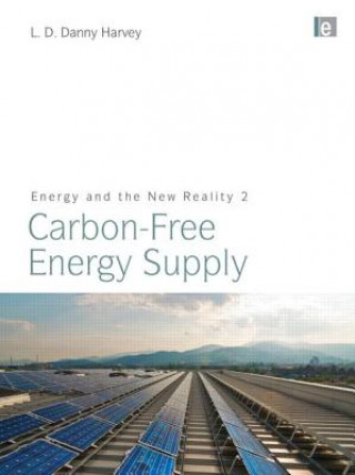 Buch Energy and the New Reality 2 L. D. Danny Harvey