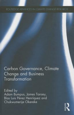 Könyv Carbon Governance, Climate Change and Business Transformation 