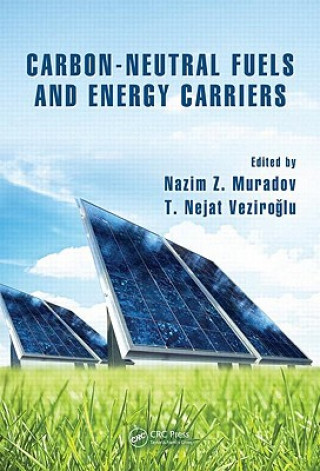 Könyv Carbon-Neutral Fuels and Energy Carriers 