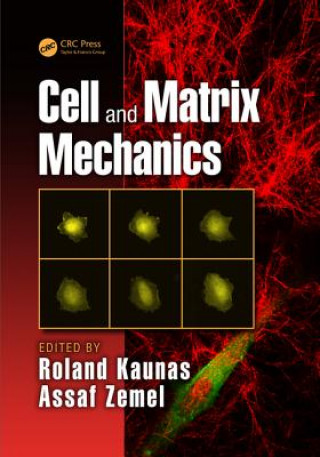 Książka Cell and Matrix Mechanics 