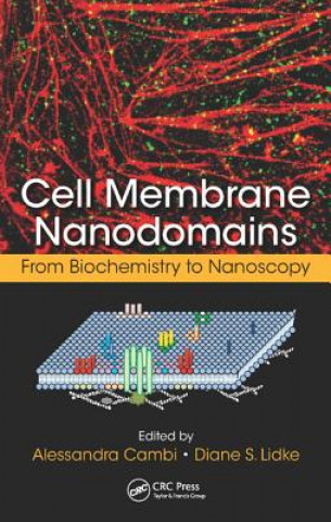 Knjiga Cell Membrane Nanodomains Alessandra Cambi