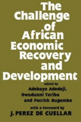 Kniha Challenge of African Economic Recovery and Development 