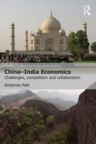 Könyv China-India Economics Amitendu Palit