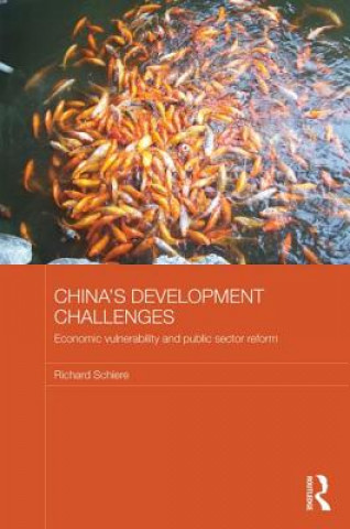 Βιβλίο China's Development Challenges Richard Schiere