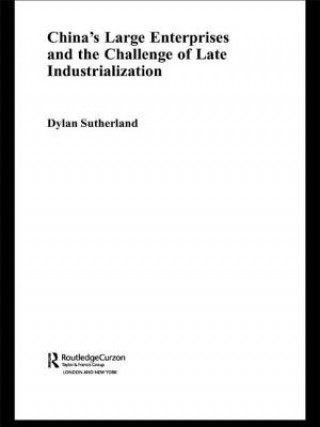 Kniha China's Large Enterprises and the Challenge of Late Industrialisation Dylan Sutherland