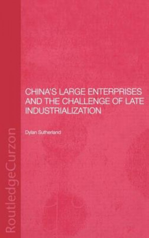 Kniha China's Large Enterprises and the Challenge of Late Industrialisation Dylan Sutherland