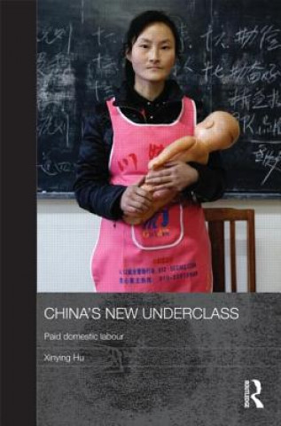 Libro China's New Underclass Xinying Hu