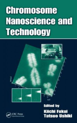 Kniha Chromosome Nanoscience and Technology Kiichi Fukui