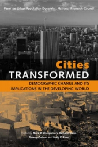 Kniha Cities Transformed Holly E. Reed