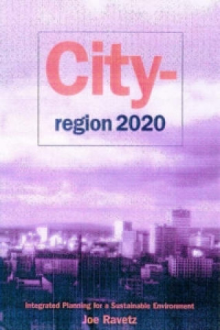 Книга City-Region 2020 Joe Revetz