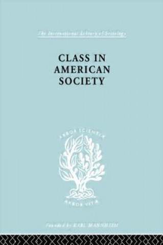 Książka Class in American Society 