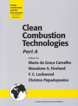 Könyv Clean Combustion Technologies Maria da Graca Carvalho