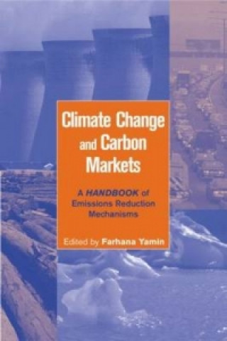 Kniha Climate Change and Carbon Markets 