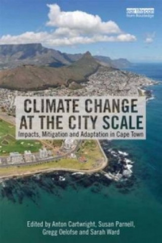 Kniha Climate Change at the City Scale 