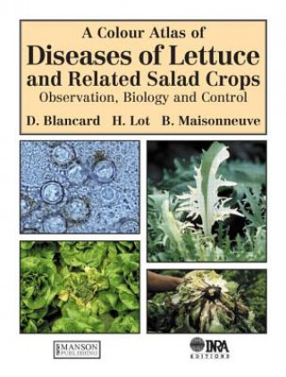 Kniha Colour Atlas of Diseases of Lettuce and Related Salad Crops Dominique Blancard