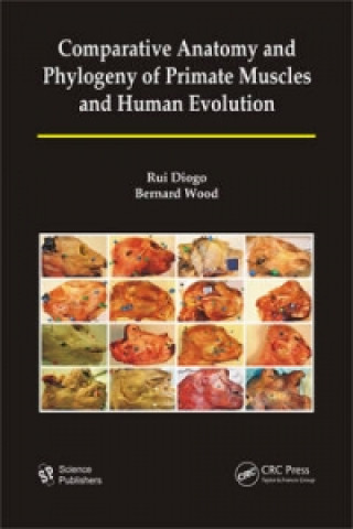 Kniha Comparative Anatomy and Phylogeny of Primate Muscles and Human Evolution Bernard A. Wood