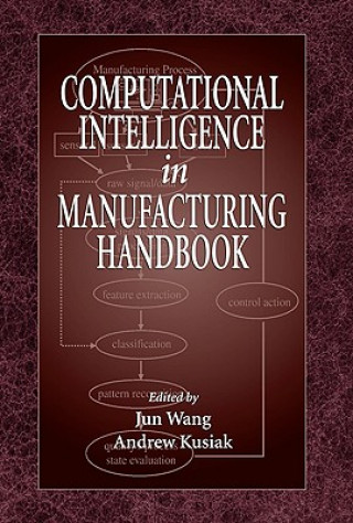 Kniha Computational Intelligence In Manufacturing Handbook 